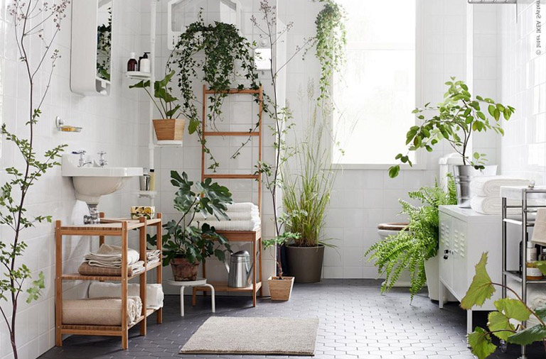 imager of plants, simple furniture and organization are part of Holistic Home Decor
